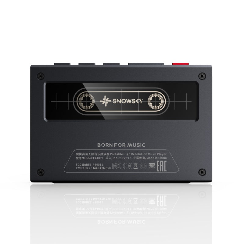 FiiO Snowsky ECHO