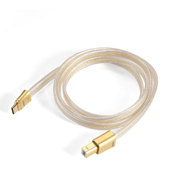 DDHIFI TC19BC Gold