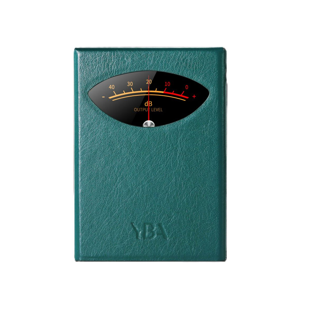 YBA VIBE P1 Case